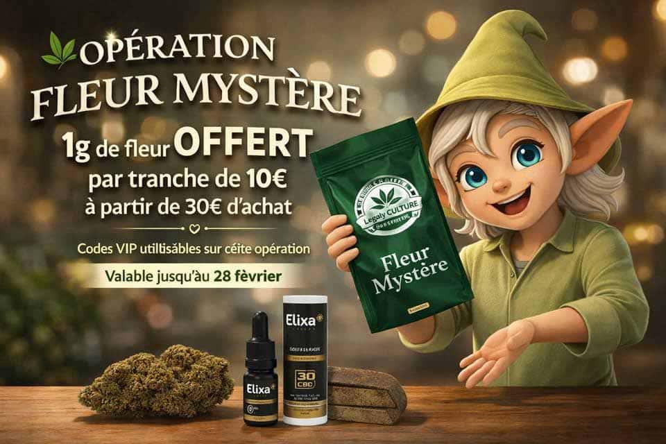 Opération Fleur Mystére