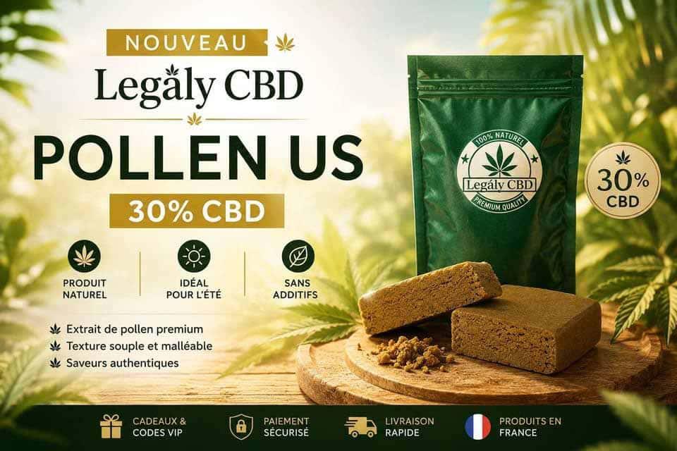 Pollen US nouvel arrivage